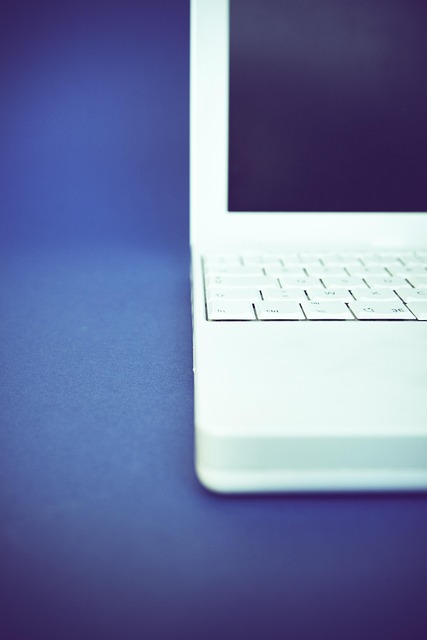 computer, keyboard, screen, keys, input device, periphery, white, laptop, hardware, notebook, workplace, apple, computer keyboard, office